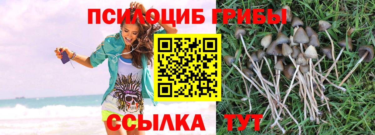 Псилоцибиновые грибы GOLDEN TEACHER Иваново