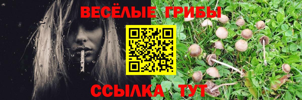 Иваново  Галлюциногенные грибы Psilocybe  Вход с VPN 